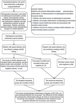 Clinical application value of metagenomic next-generation sequencing in the diagnosis of spinal infections and its impact on clinical outcomes